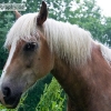 PC1_Bild089.jpg